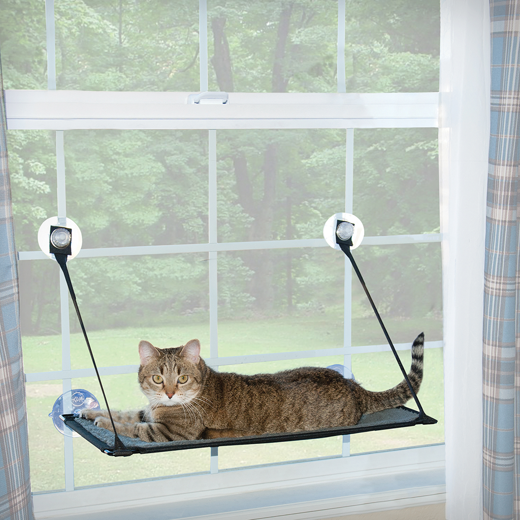 Ez mount kitty sill best sale