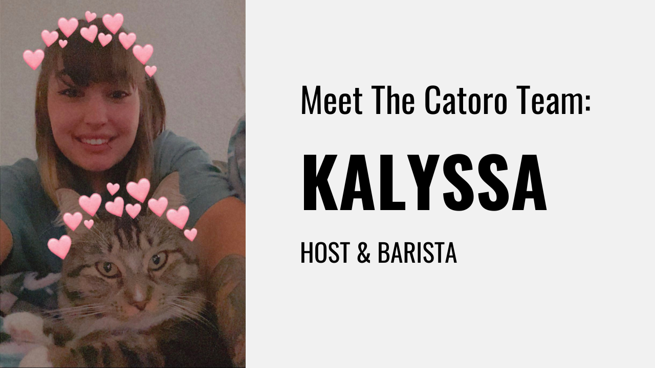 Kalyssa:  My experience working at Catoro | Meet the team
