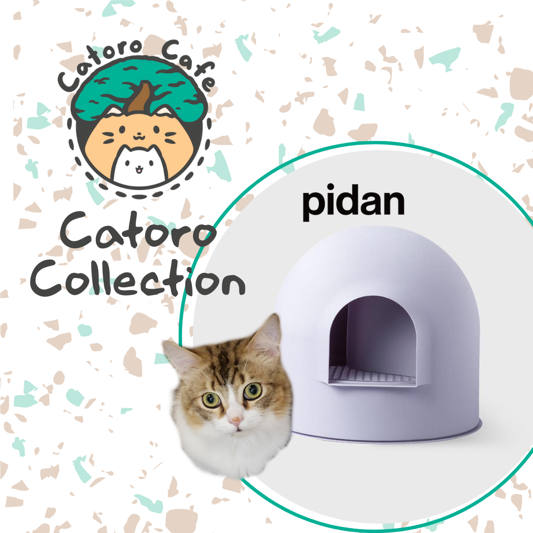Catoro Collection - Pidan Litter Box