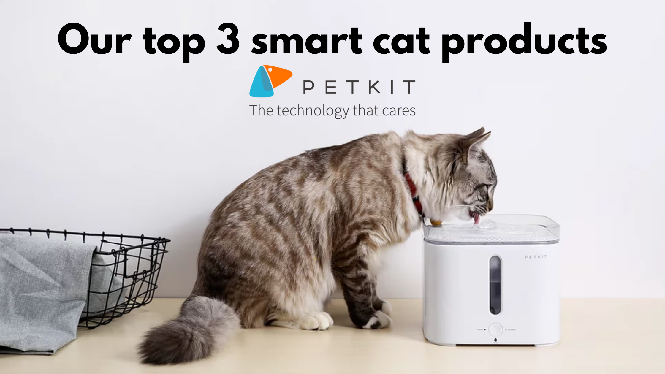 Our top 3 smart cat products by Petkit
