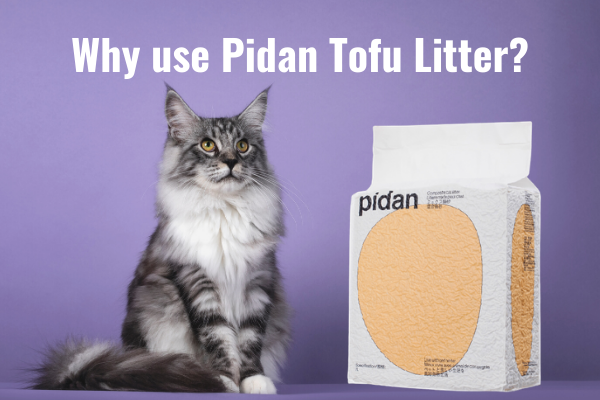 What is tofu litter? And why do we recommend it?
