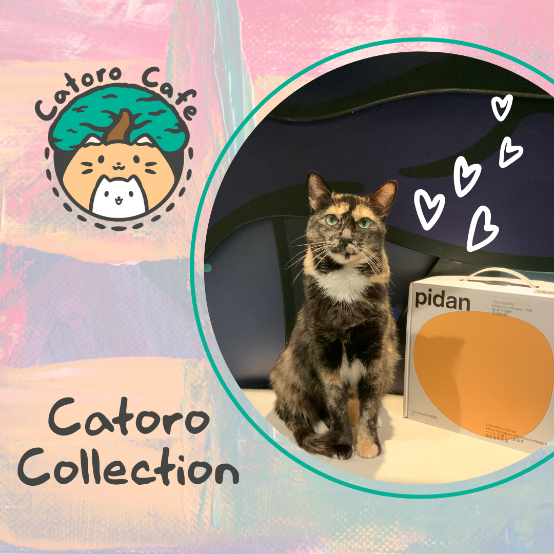 Catoro Collection - Pidan Litter