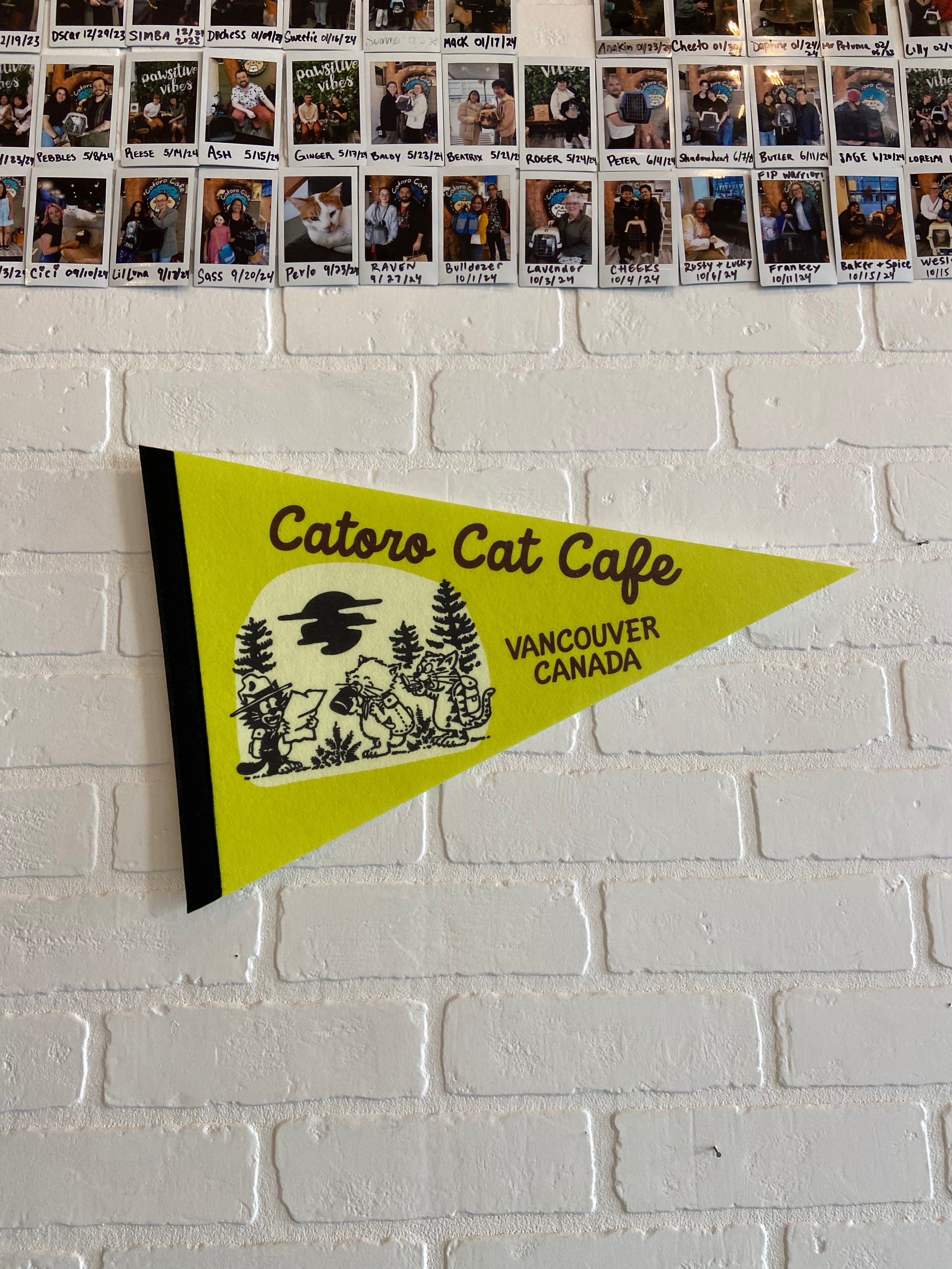 Catoro Cat Cafe Pennant - Neon Green