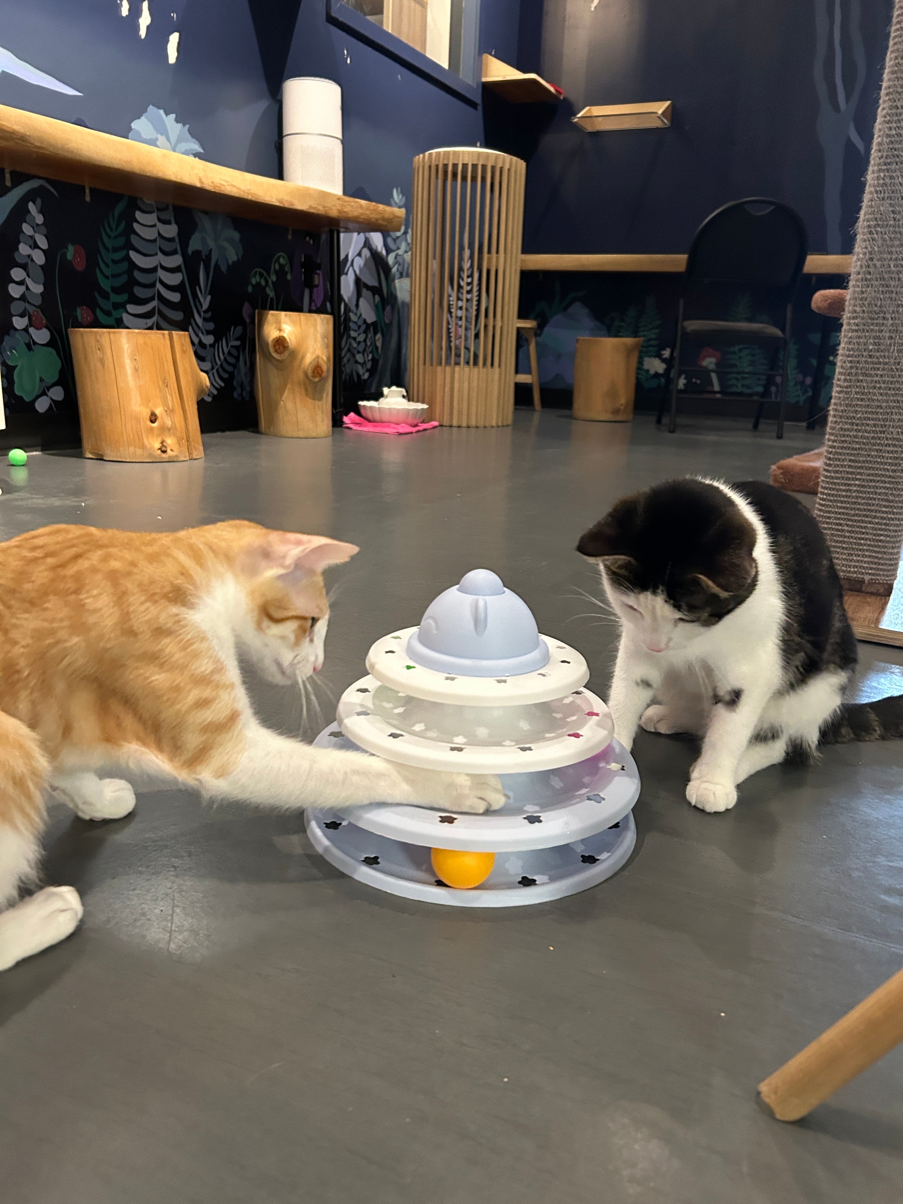 3 tier clearance ball cat toy