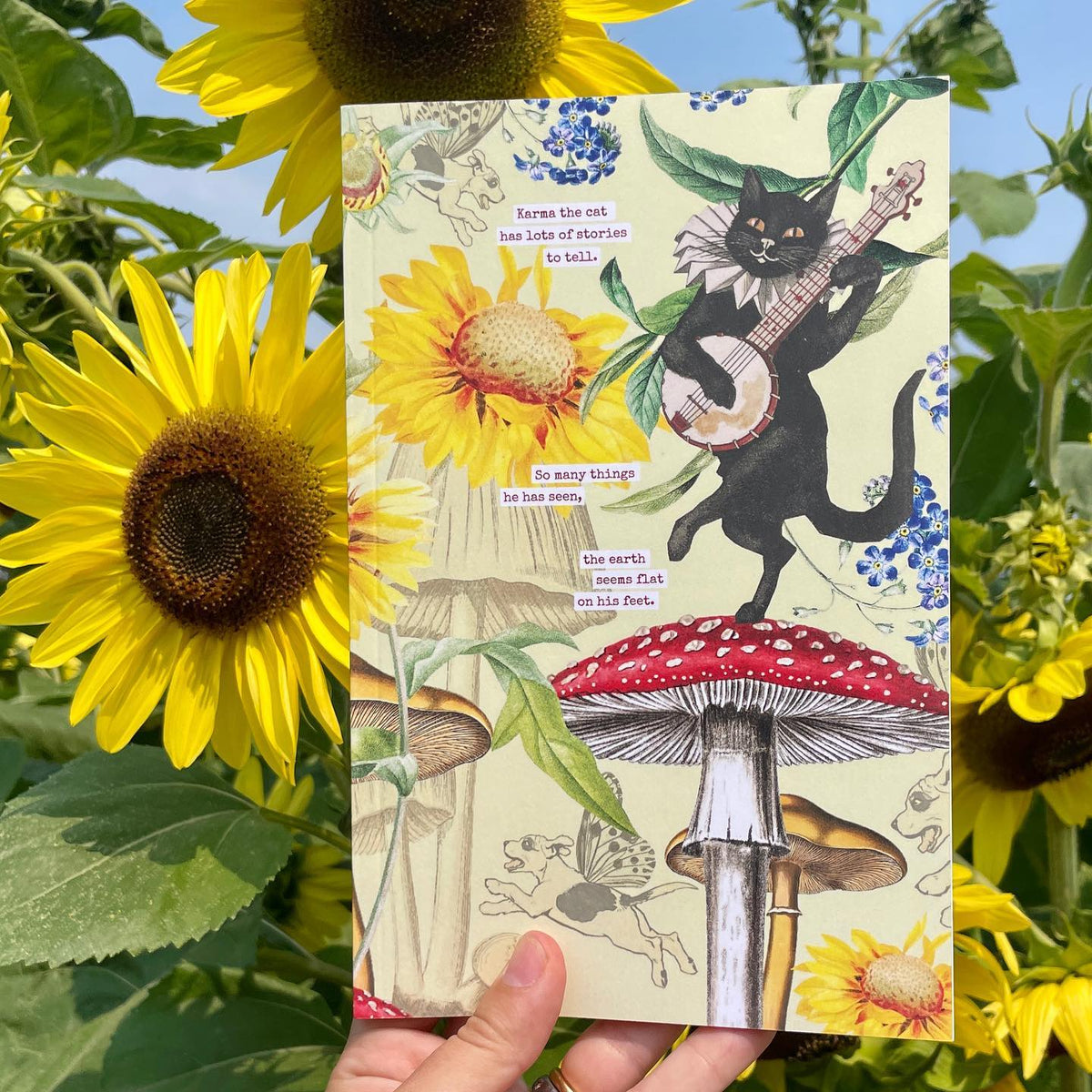 Badger & Burke Local East Vancouver Cat Supplies at Catoro Pets