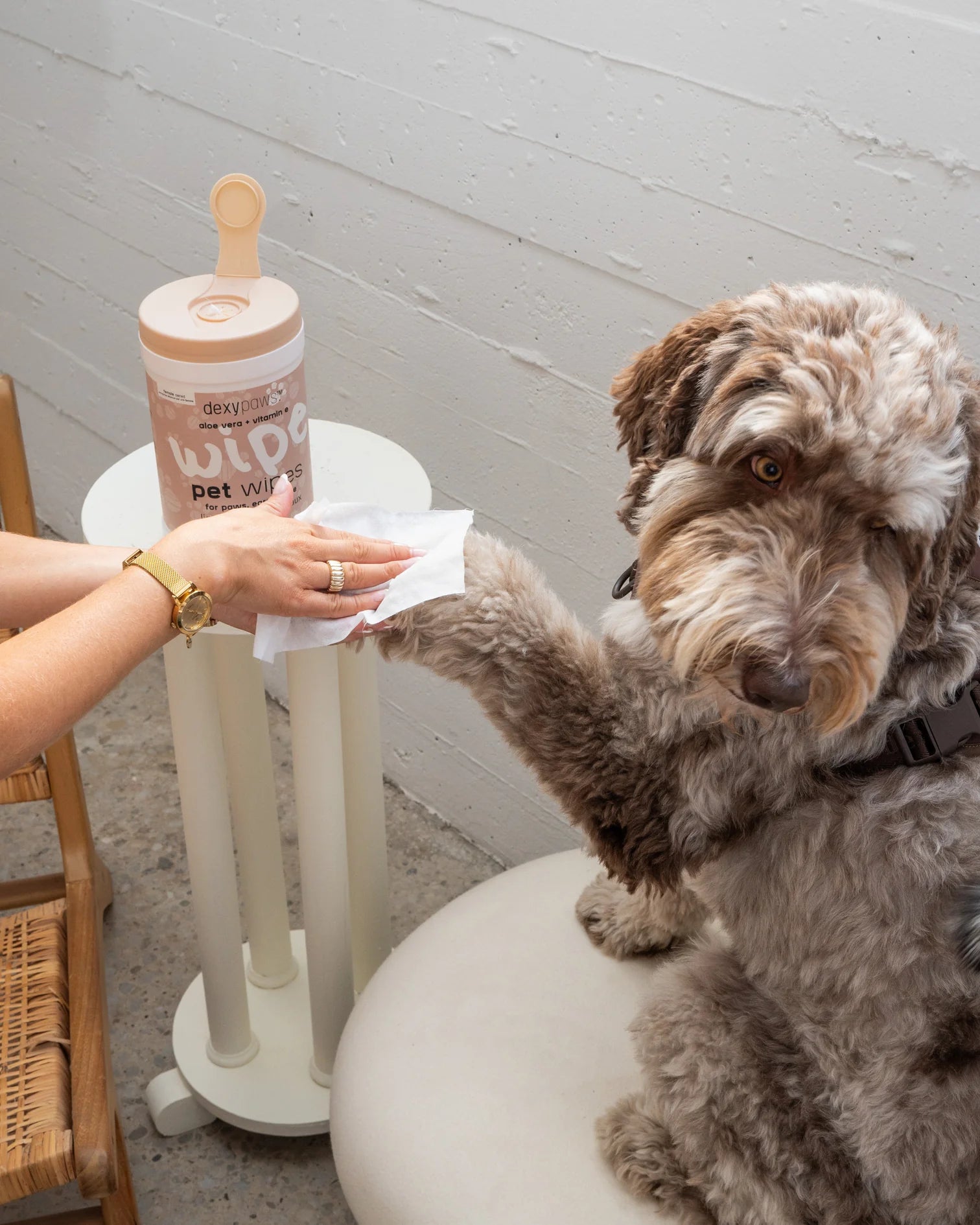 Pet Cleansing Wipes Canister