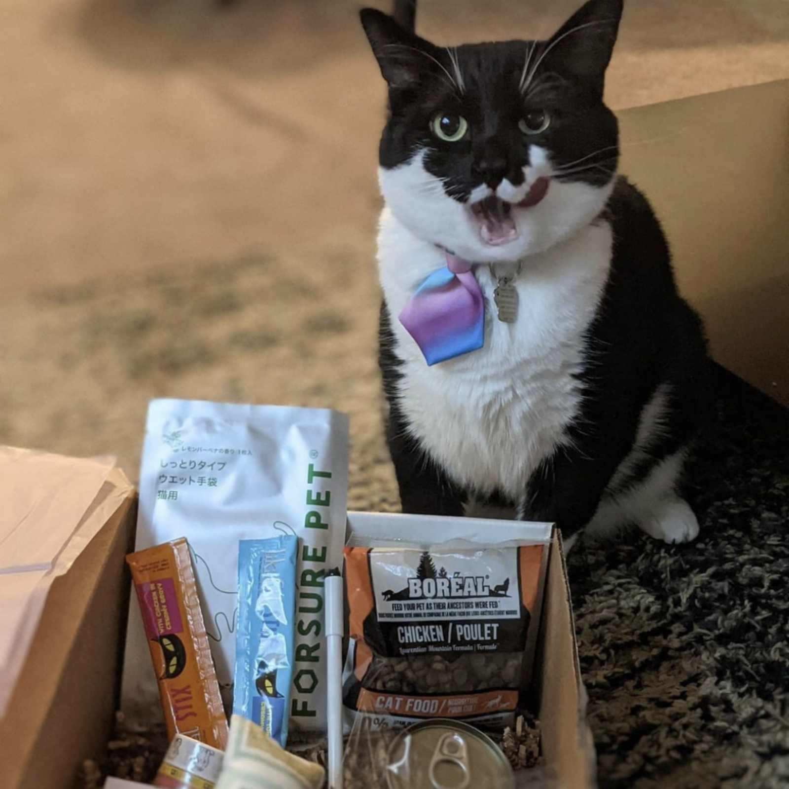 Cat subscription top box canada