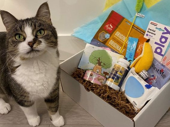 Cat subscription box clearance canada