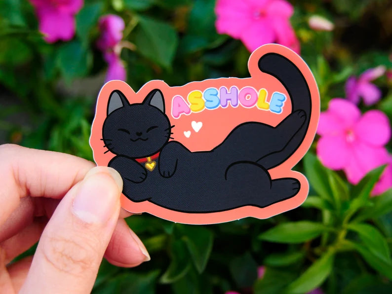 Asshole Cat Sticker