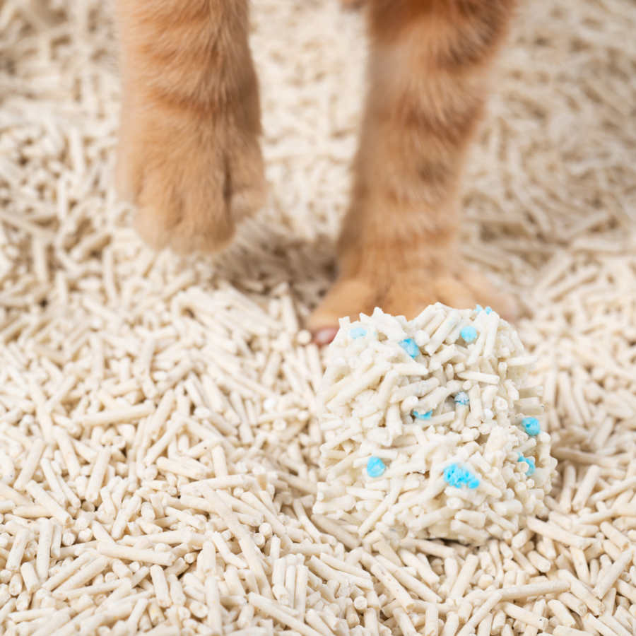Tofu Cat Litter - Original 2.0 | Now With Blood Test Particles 6L - Catoro Pets
