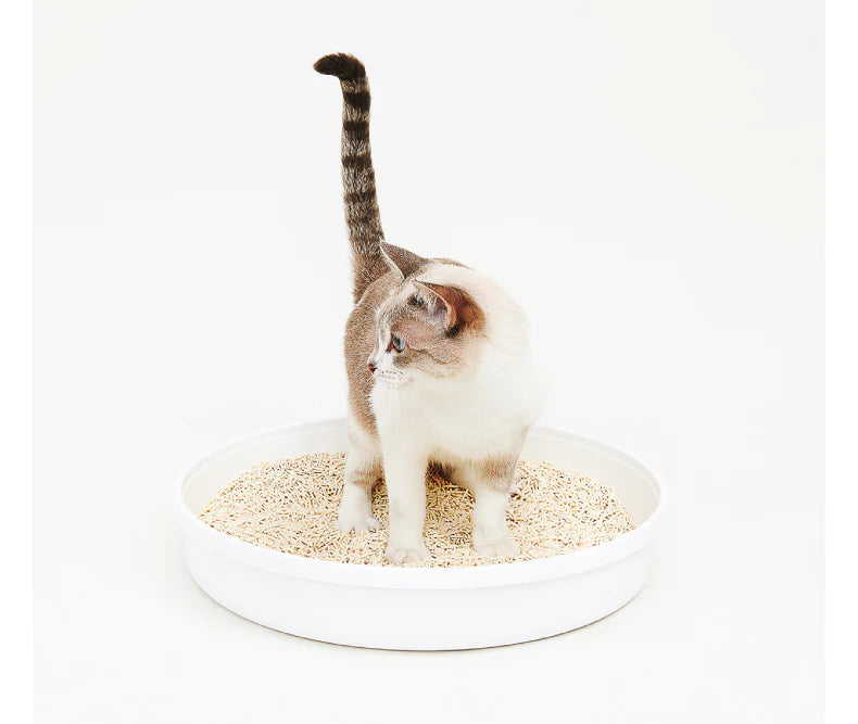 Composite Tofu Cat Litter with Crushed Bentonite 6L - Catoro Pets