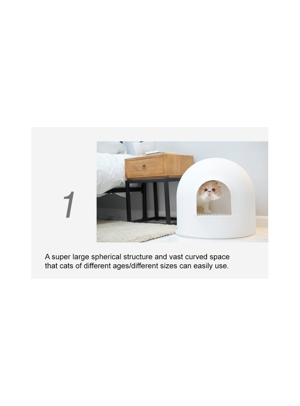 Igloo Cat Litter Box (Bonus Litter!) - Catoro