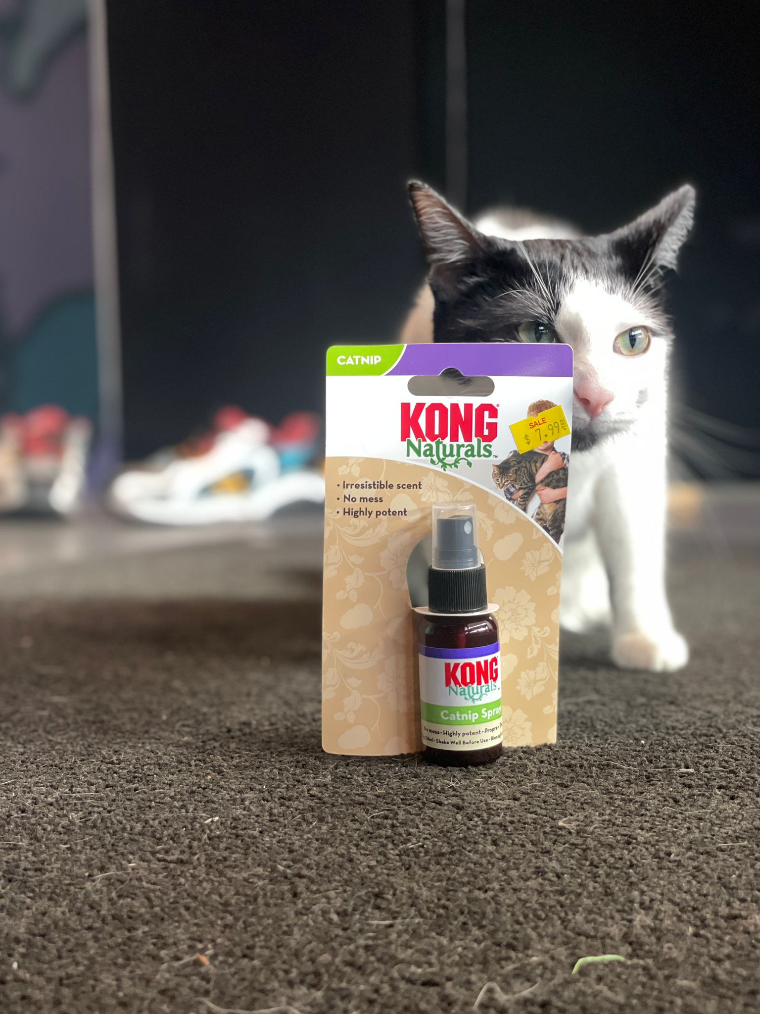 Kong 2025 catnip spray