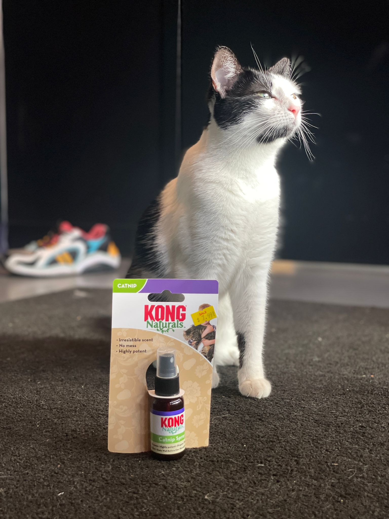 Kong shop naturals spray