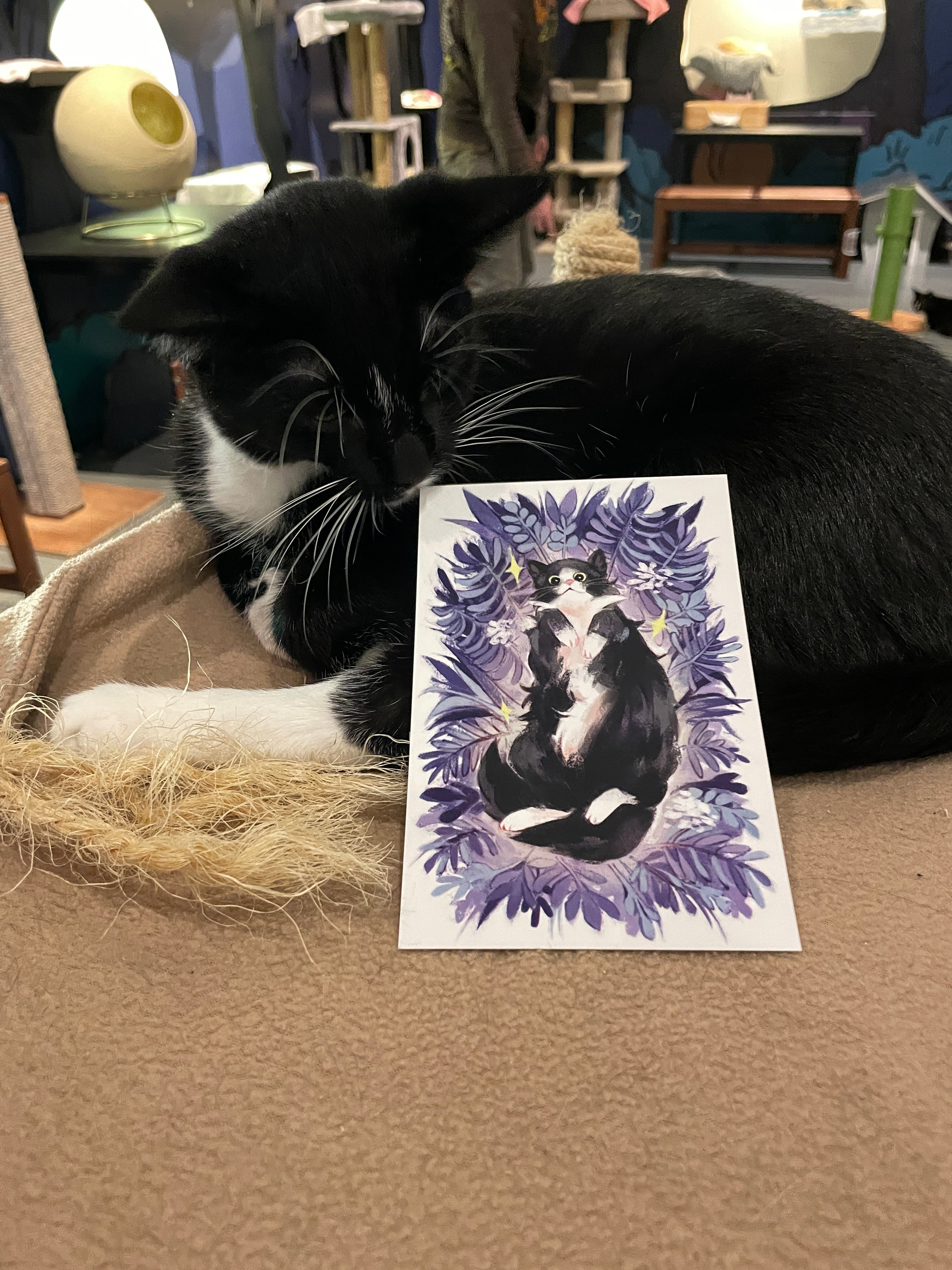 Tuxedo Kitty Print