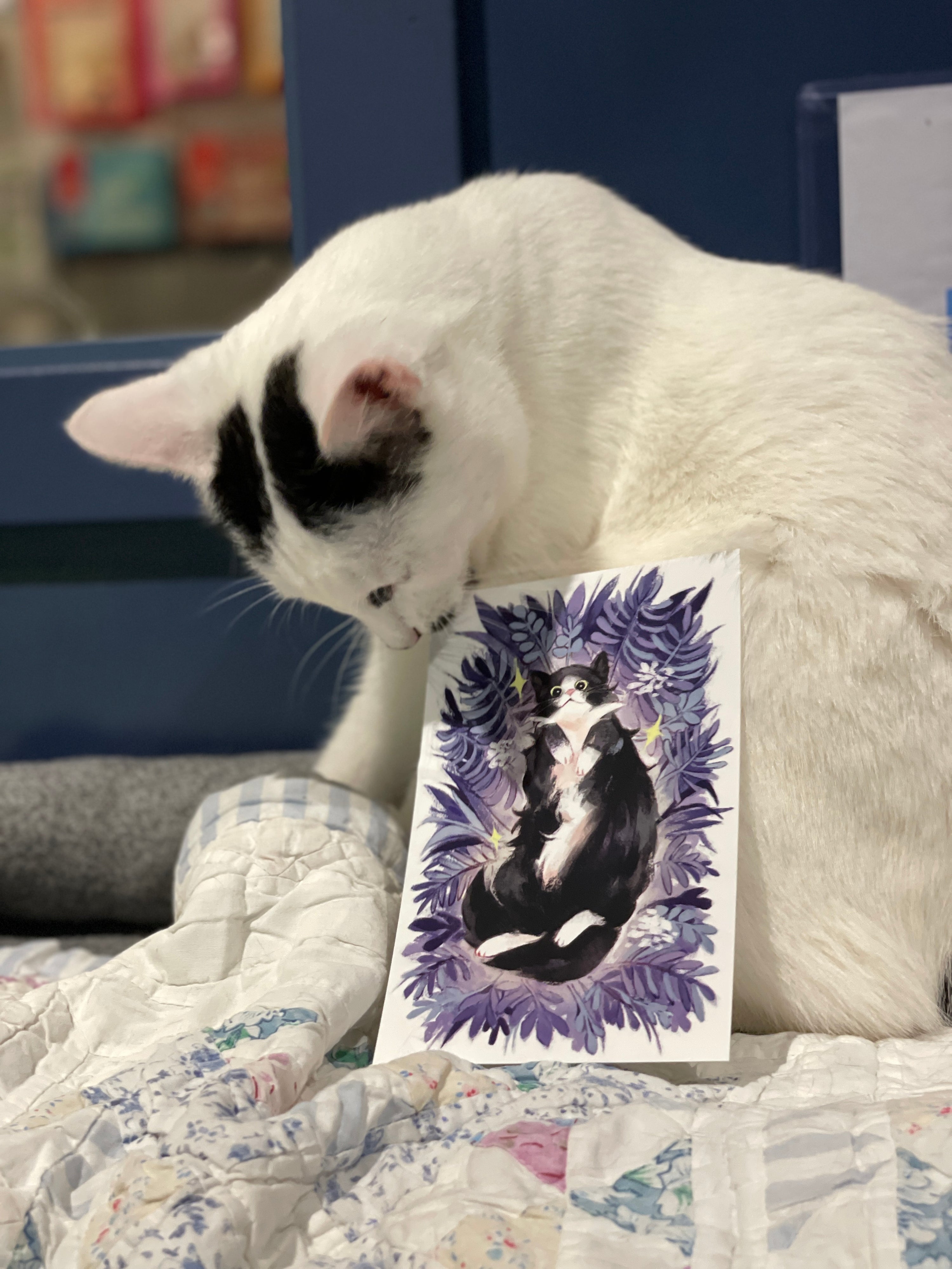 Tuxedo Kitty Print