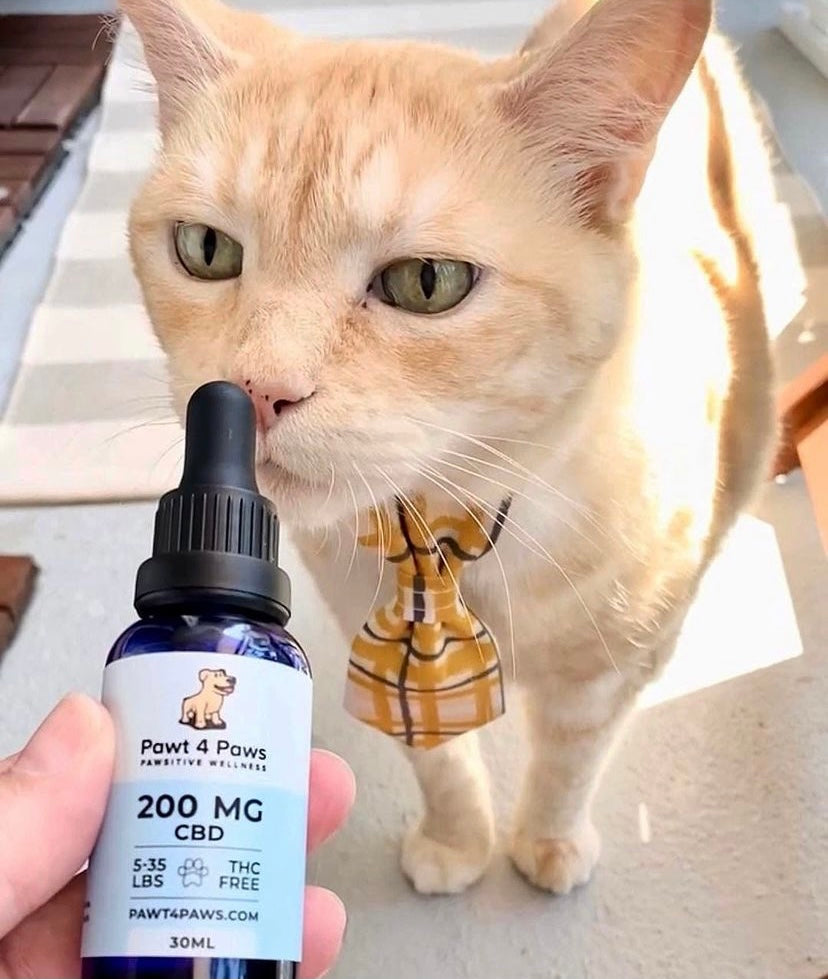 Pawt4Paws CBD Oil For Cats