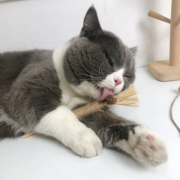 Natural Silver Vine Raffia Dental Stick Toy Single