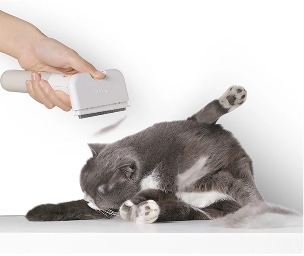 Pidan Pet Deshedding Tool - Catoro