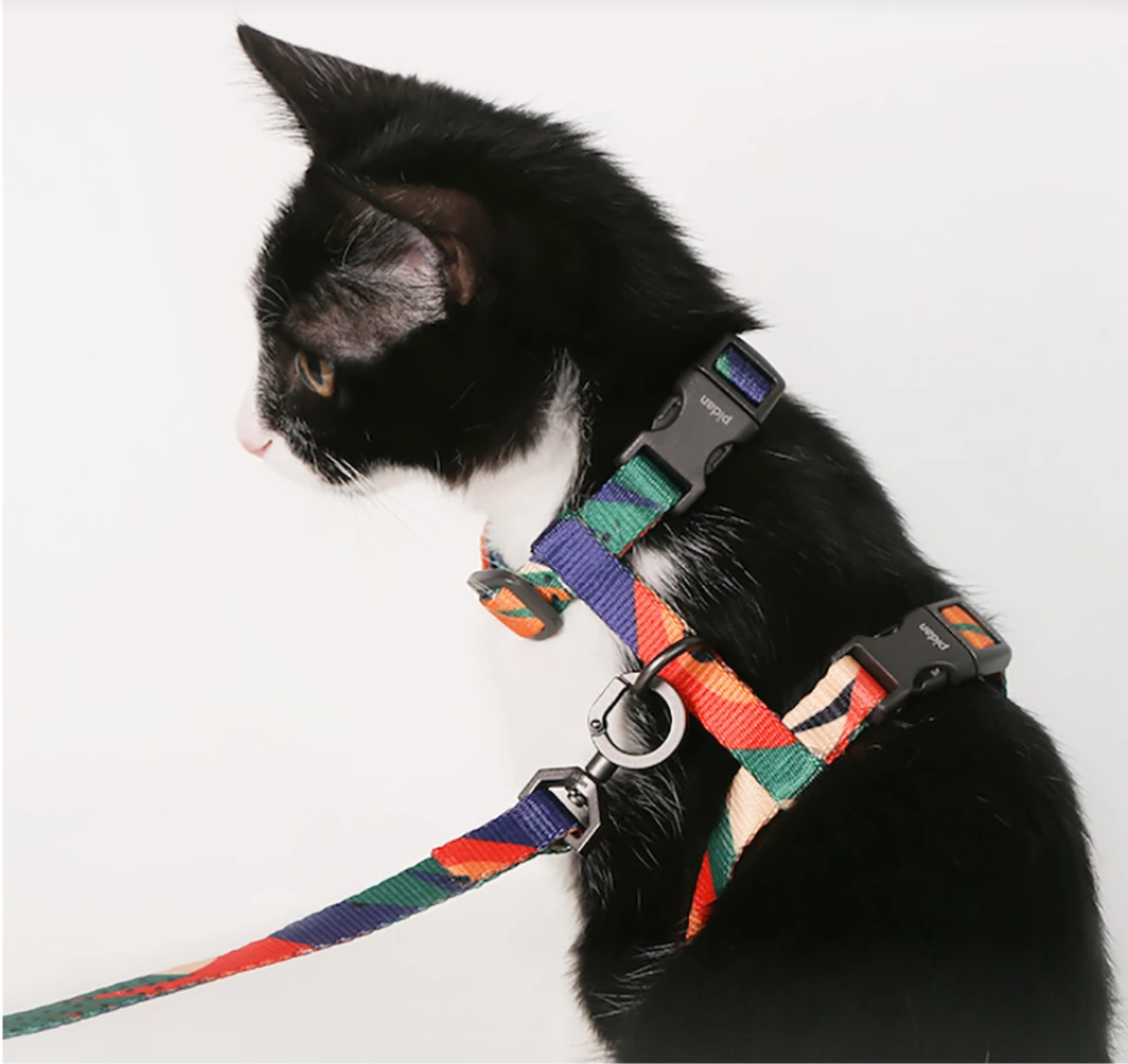 Cat Leash - Harness & Leash Set - Catoro