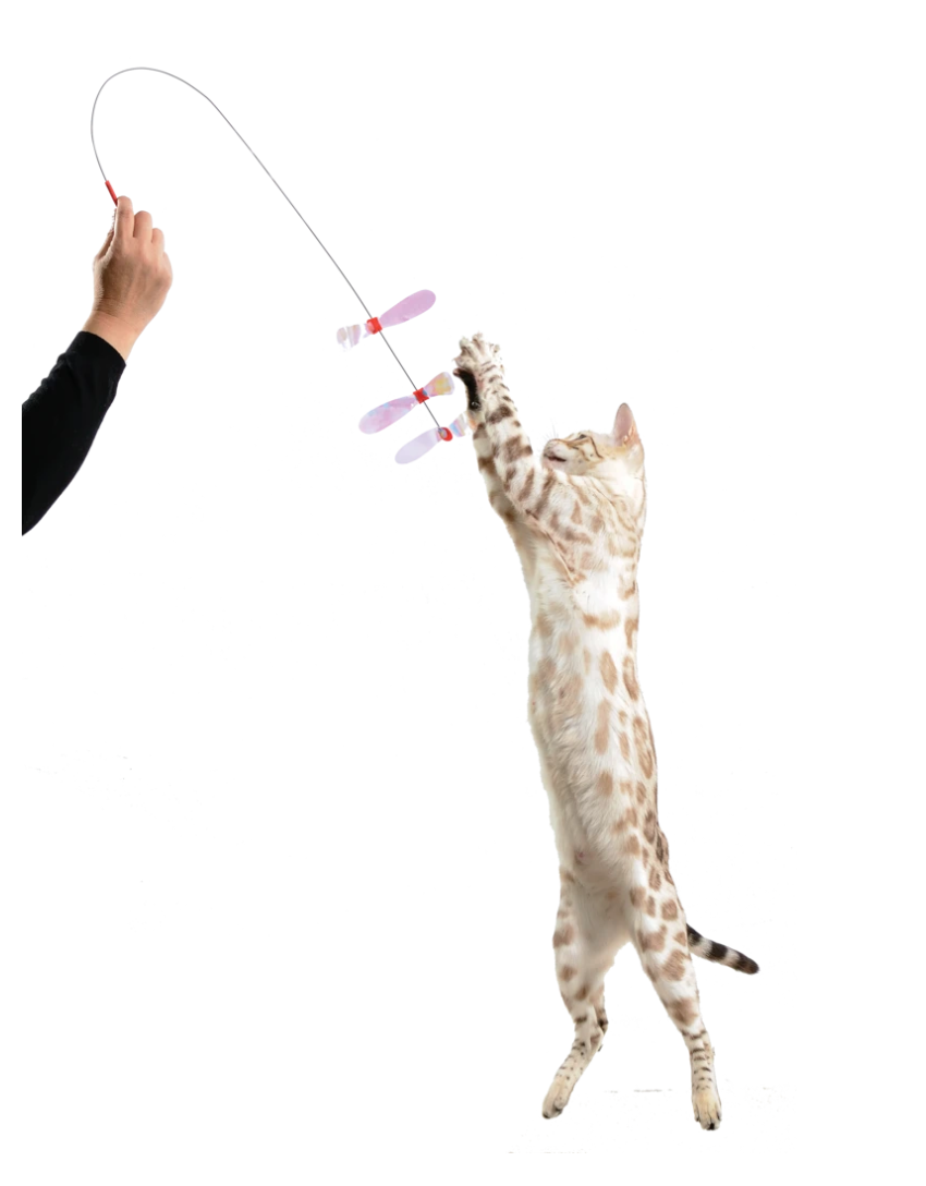Mylar cat wand top