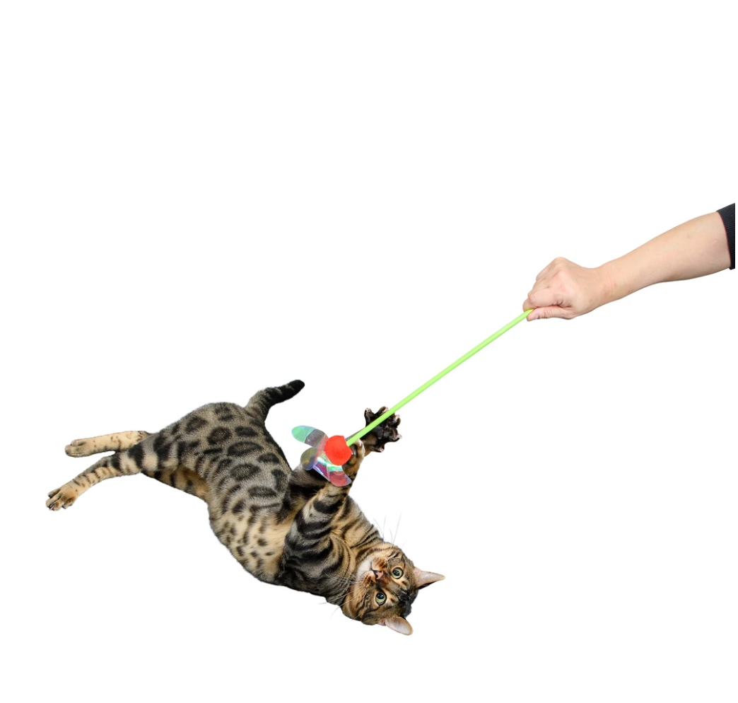 Rustlin Iridescent Mylar Teaser