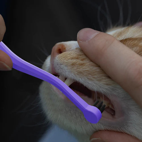 Small online cat toothbrush