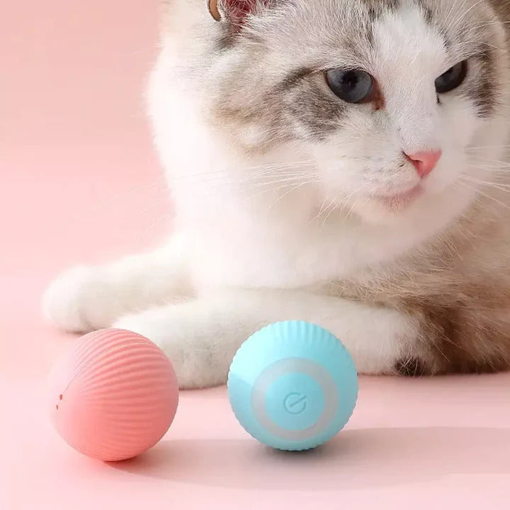 Automatic Rolling Cat Toy - USB Charging