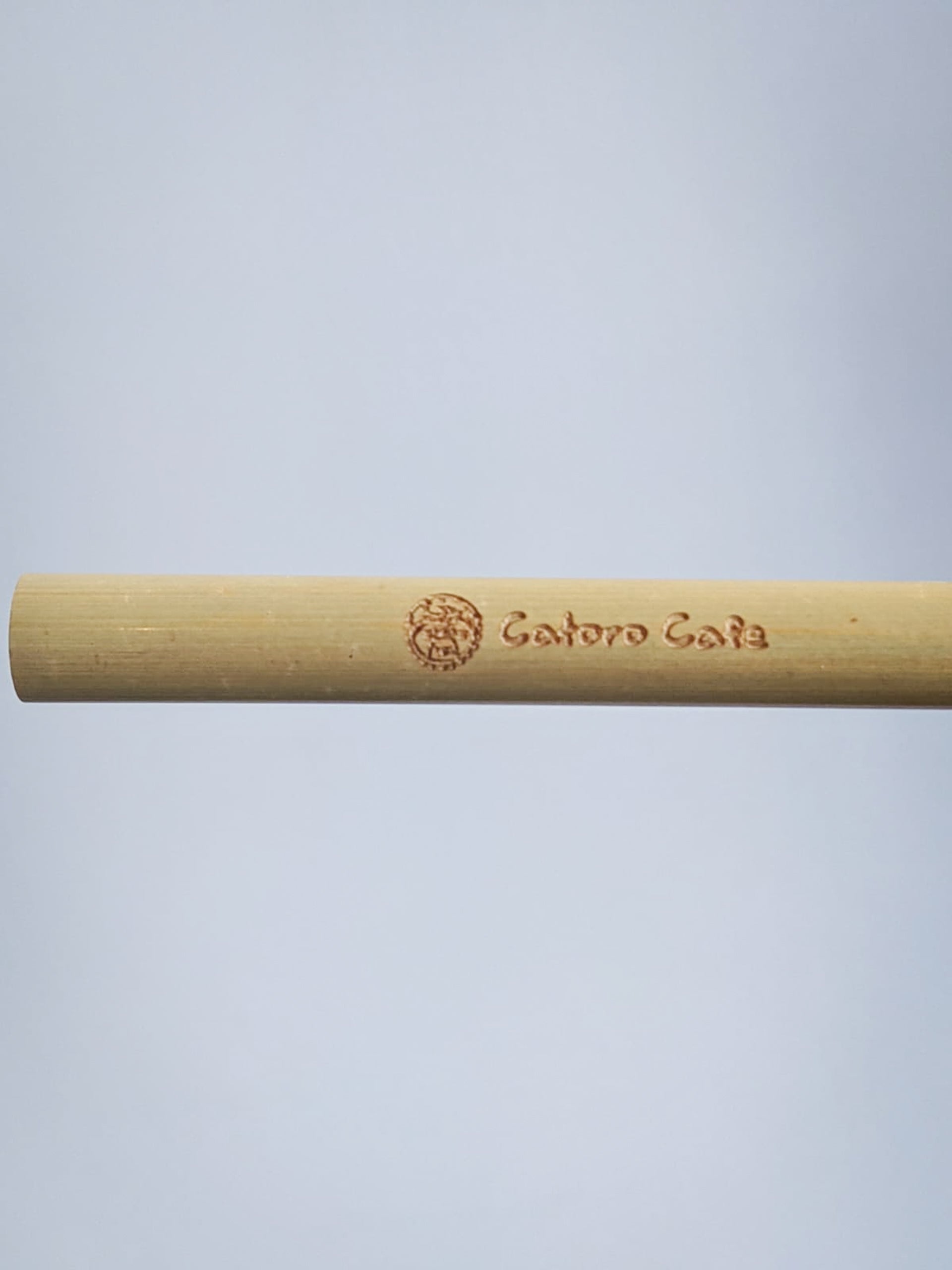 Reusable Bamboo Straw Kit - Catoro